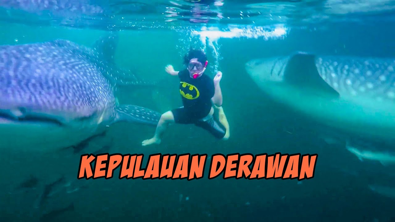 Jalan-jalan ke Derawan | Trip to Derawan | Travel Vlog Edisi Kangen Liburan #2