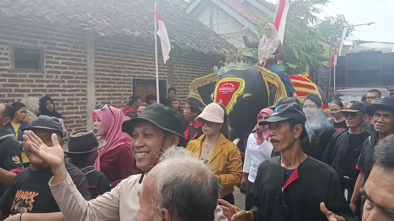 BERANI SEKALI❗Temanten wanita naik gajah-gajahan ponorogo
