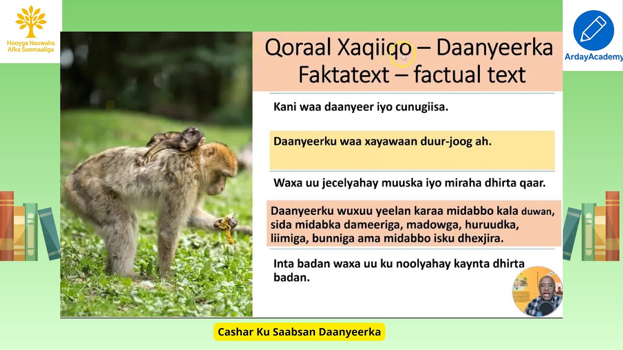 CASHAR KU SAABSAN DAANYEERKA - Qoraal Xaqiiqo - Faktatext - Faktual text - apa/monkey - Af-Soomaali