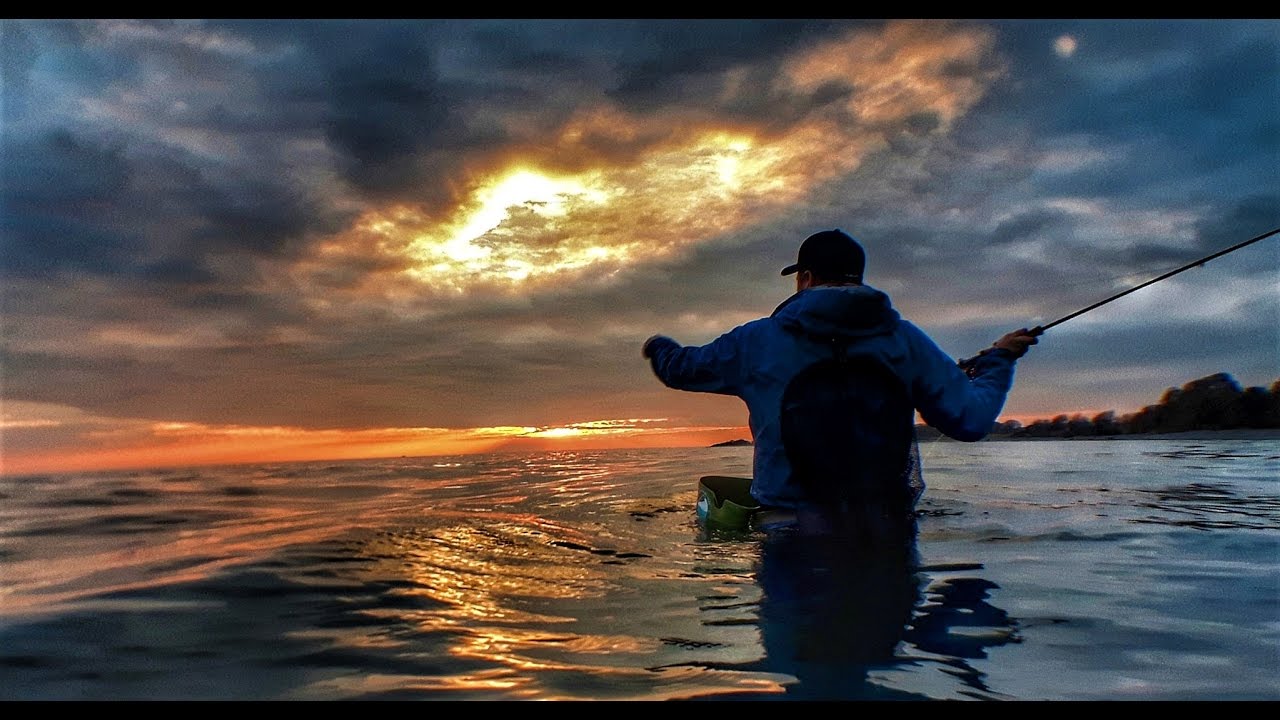 Sjøørret / Havørred fiske Møn 2017 