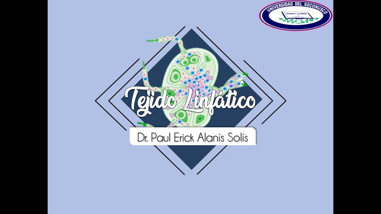 Histología de Sistema Linfático   Generalidades