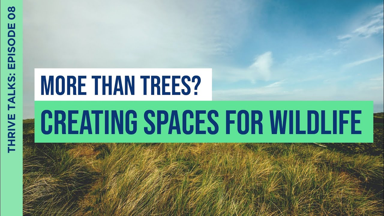More Than Trees? Creating Spaces for Our Wildlife | Joanne Wasdin | Episode 8