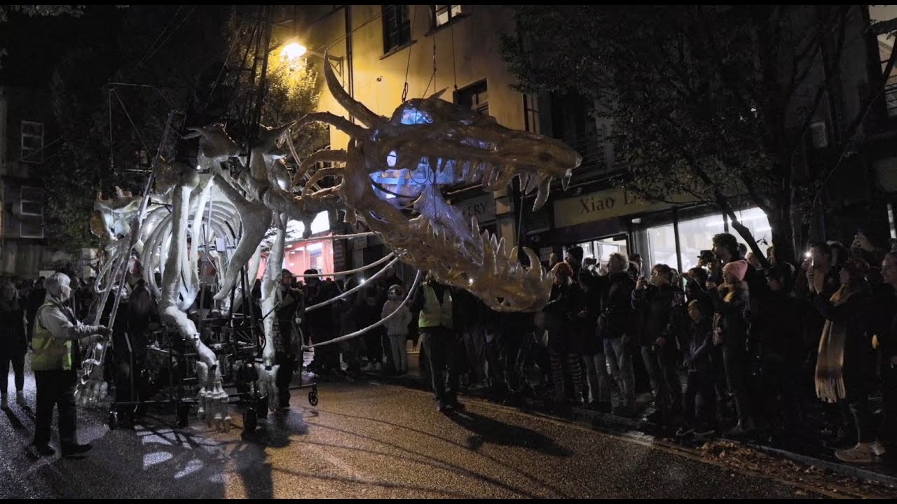 Dragon of Shandon Documentary 2022