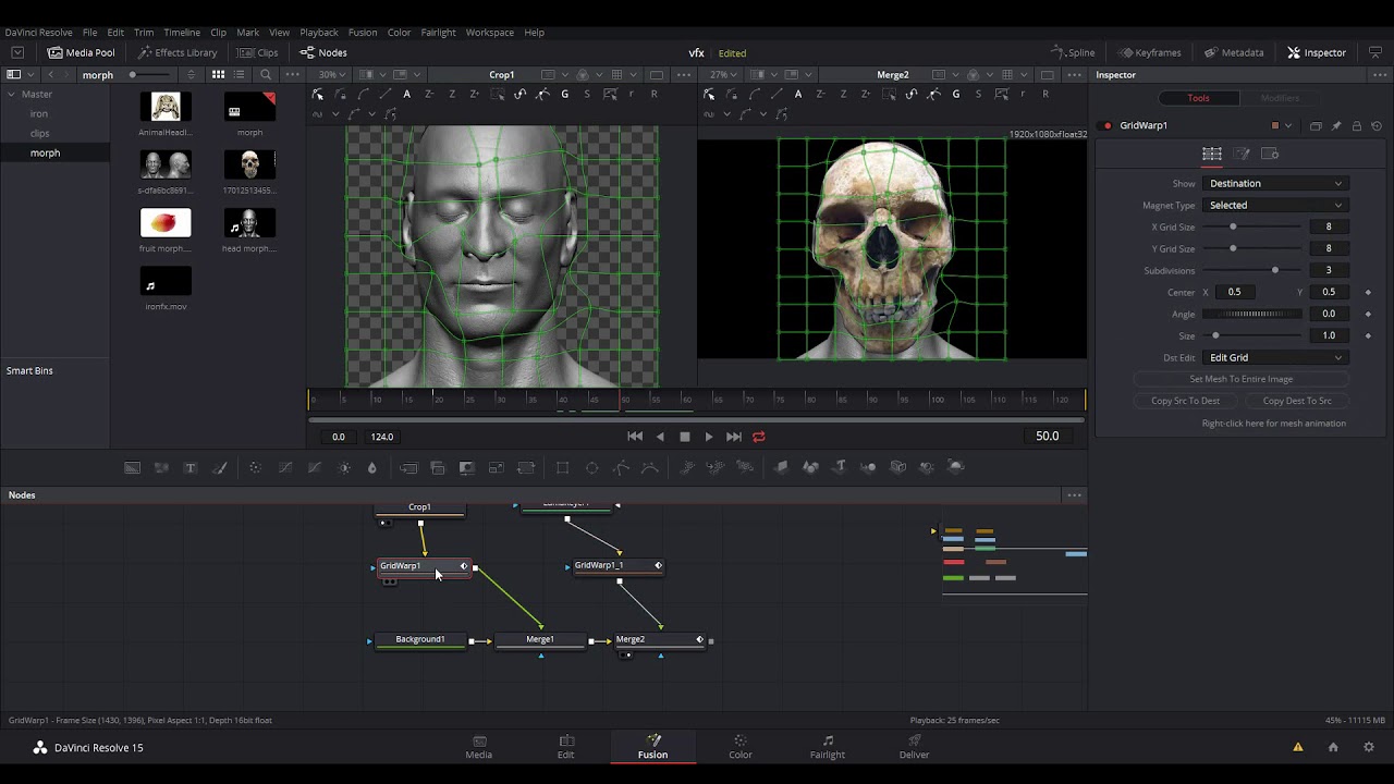 Blackmagic Resolve Morph