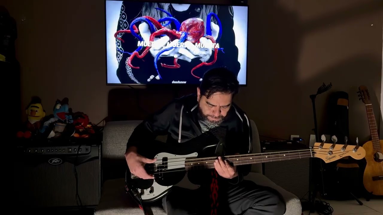 A Perfect Circle  - TalkTalk Bass Cover