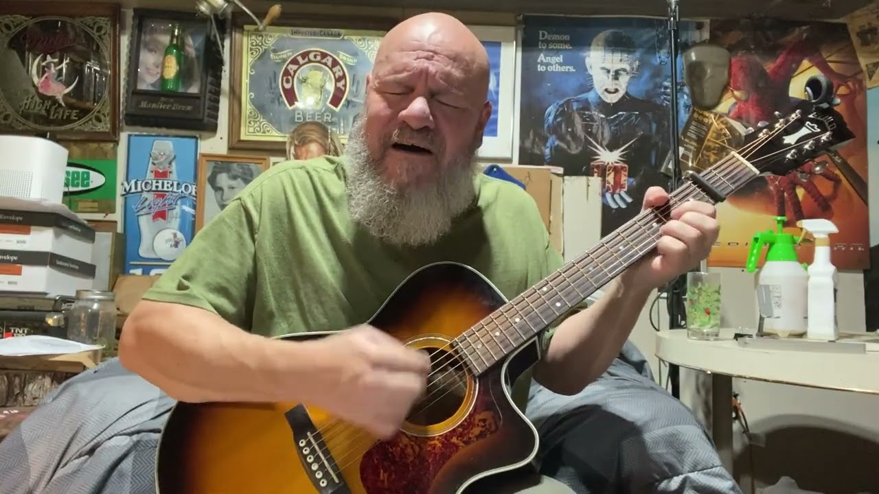Acoustic cover of Jethro Tull Farm on the Freeway by DoubleBruno single