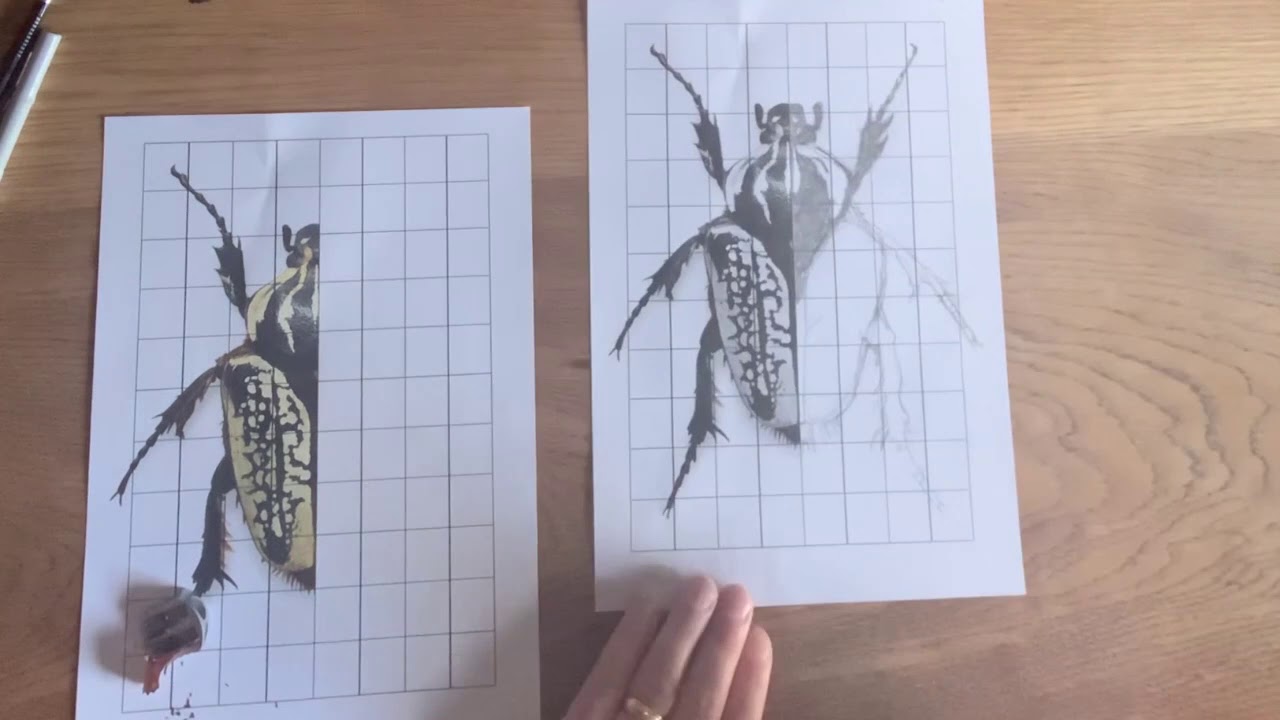 Bug drawing using the grid method.