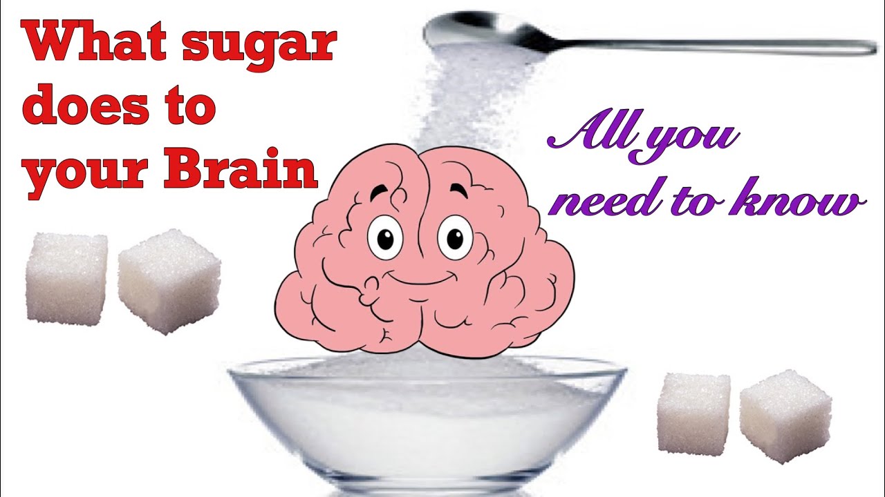 What Sugar does to your Brain | Effects on Health PART 2 | Tips | CUISINES AND WELLNESS