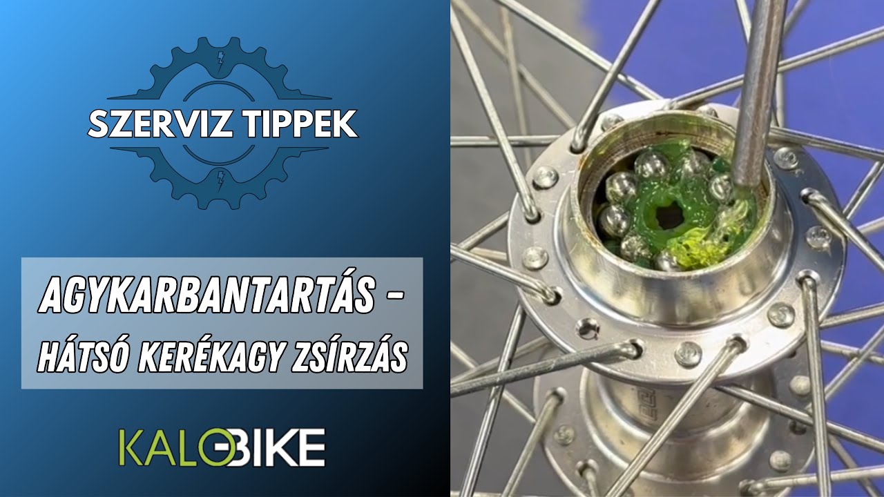 Hátsó menetes kerékagy újra zsírzása | Agykarbantartás - Lépésről lépésre 🔧🚴