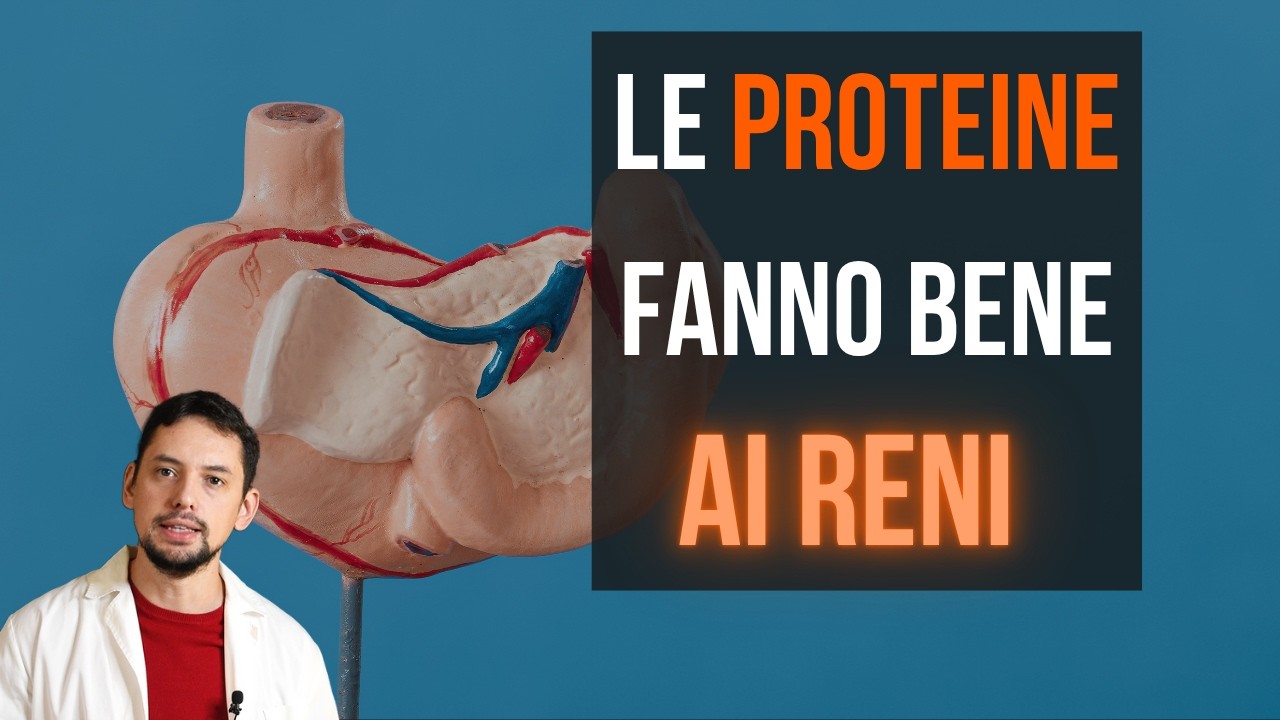 Le PROTEINE fanno bene.  Studi che sfidano il DOGMA