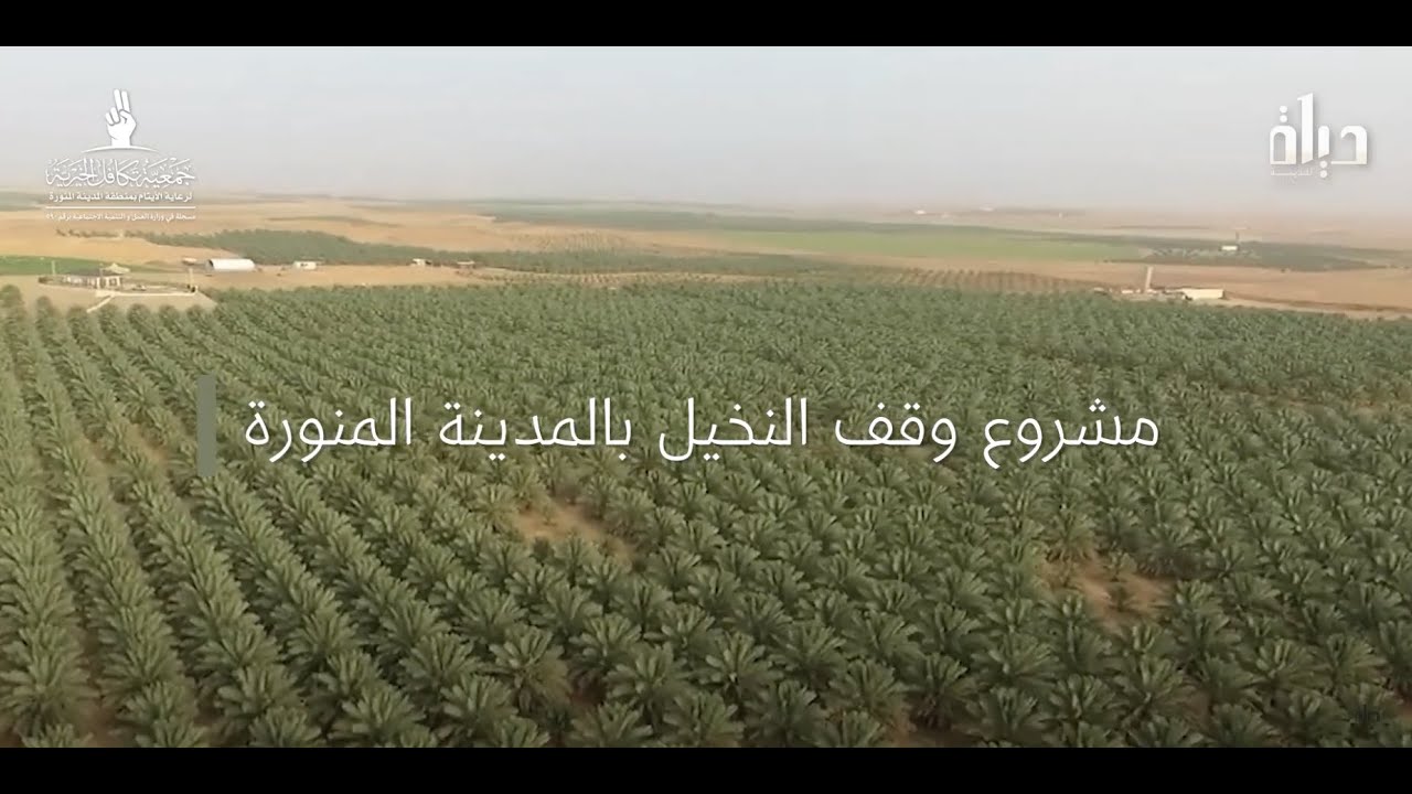 وقف النخيل ذو الروح الجديدة