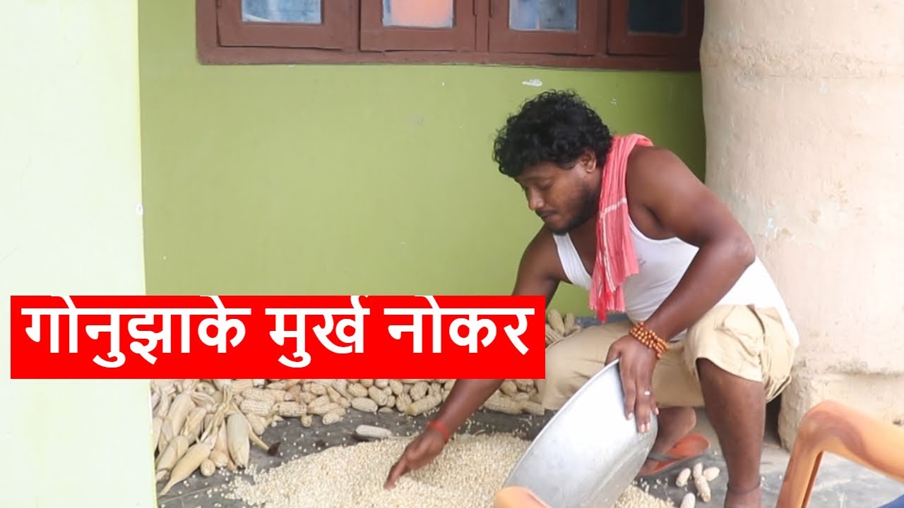 गोनुझाके मुर्ख नोकर  || maithili comedy ।। gamghar comedy