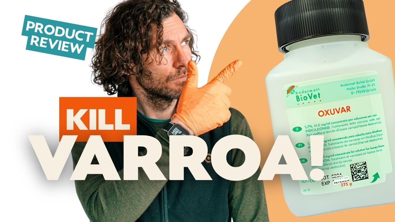 OXUVAR Oxalic Acid Treatment - How to Apply It to Kill Varroa Mites Properly