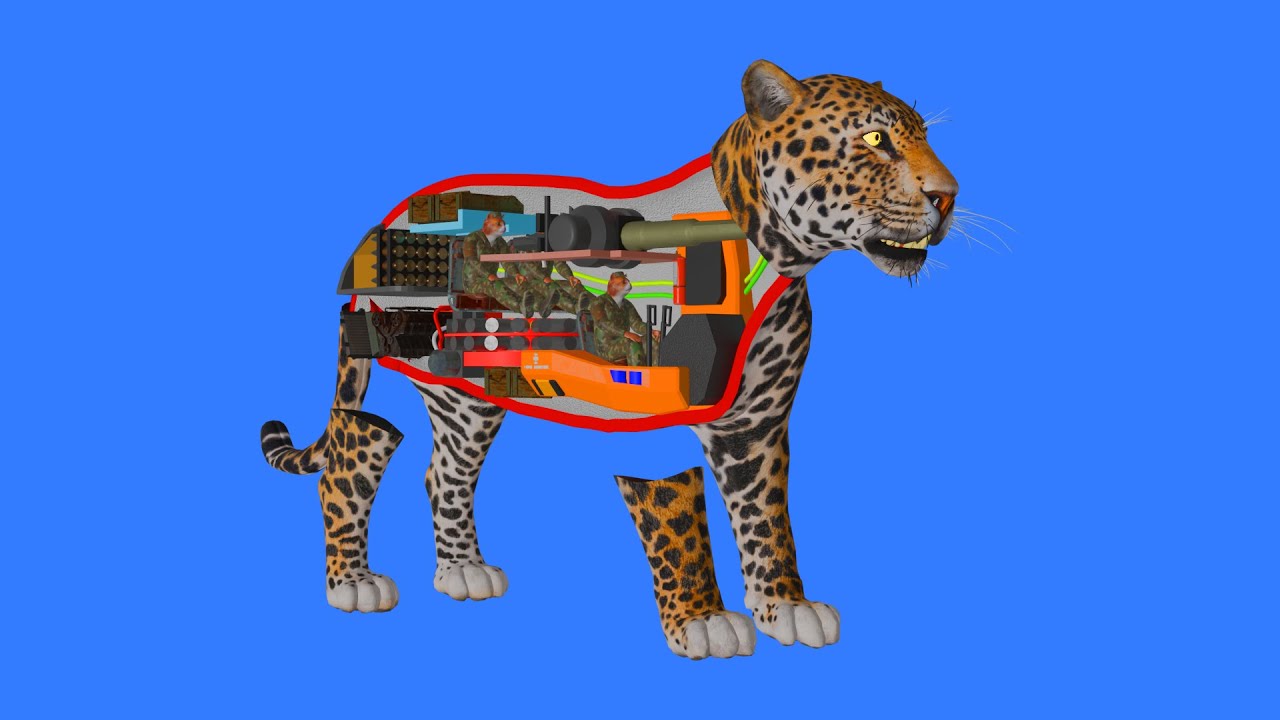 How a Jaguar works