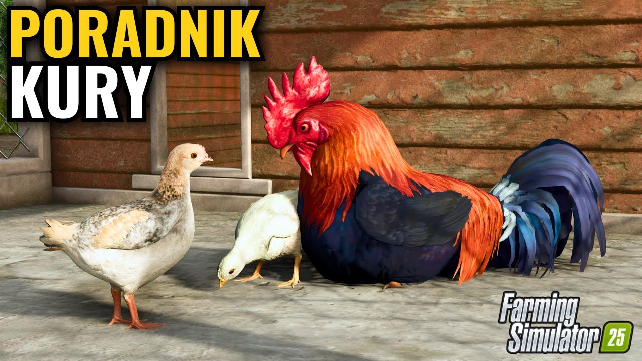 KURY w Farming Simulator 25 🔥 kompletny PORADNIK hodowli
