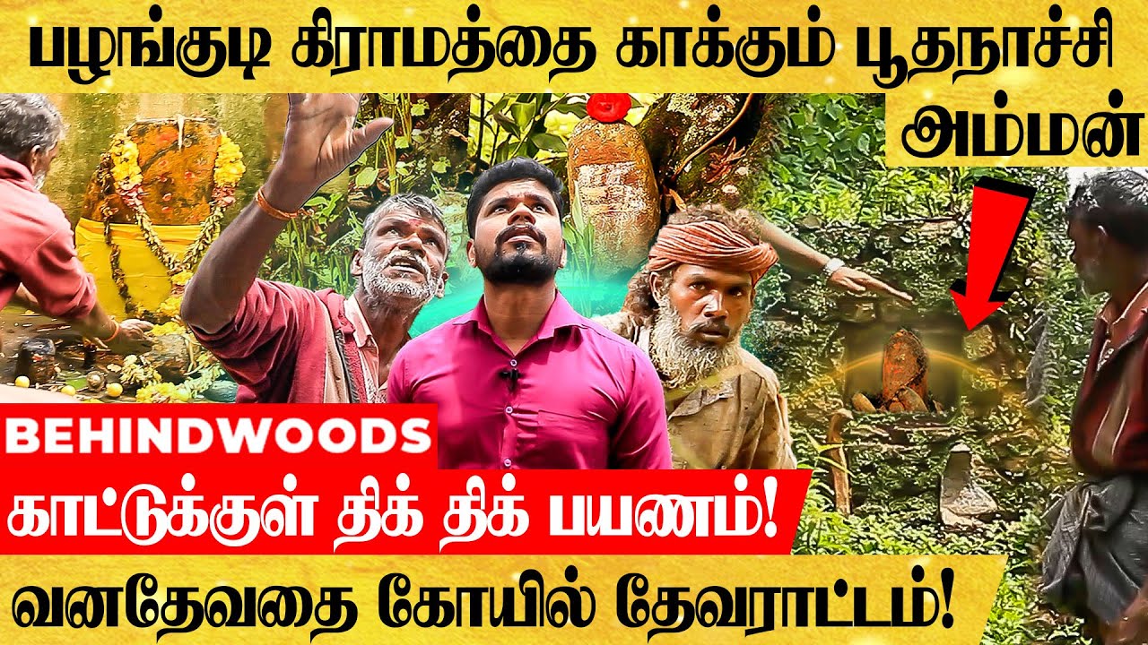 தேவராட்டம் ஆடும் முன் செய்வது இதான்! காட்டில் வாழும் பழங்குடி மக்களை காக்கும் பூதநாச்சி அம்மன்..