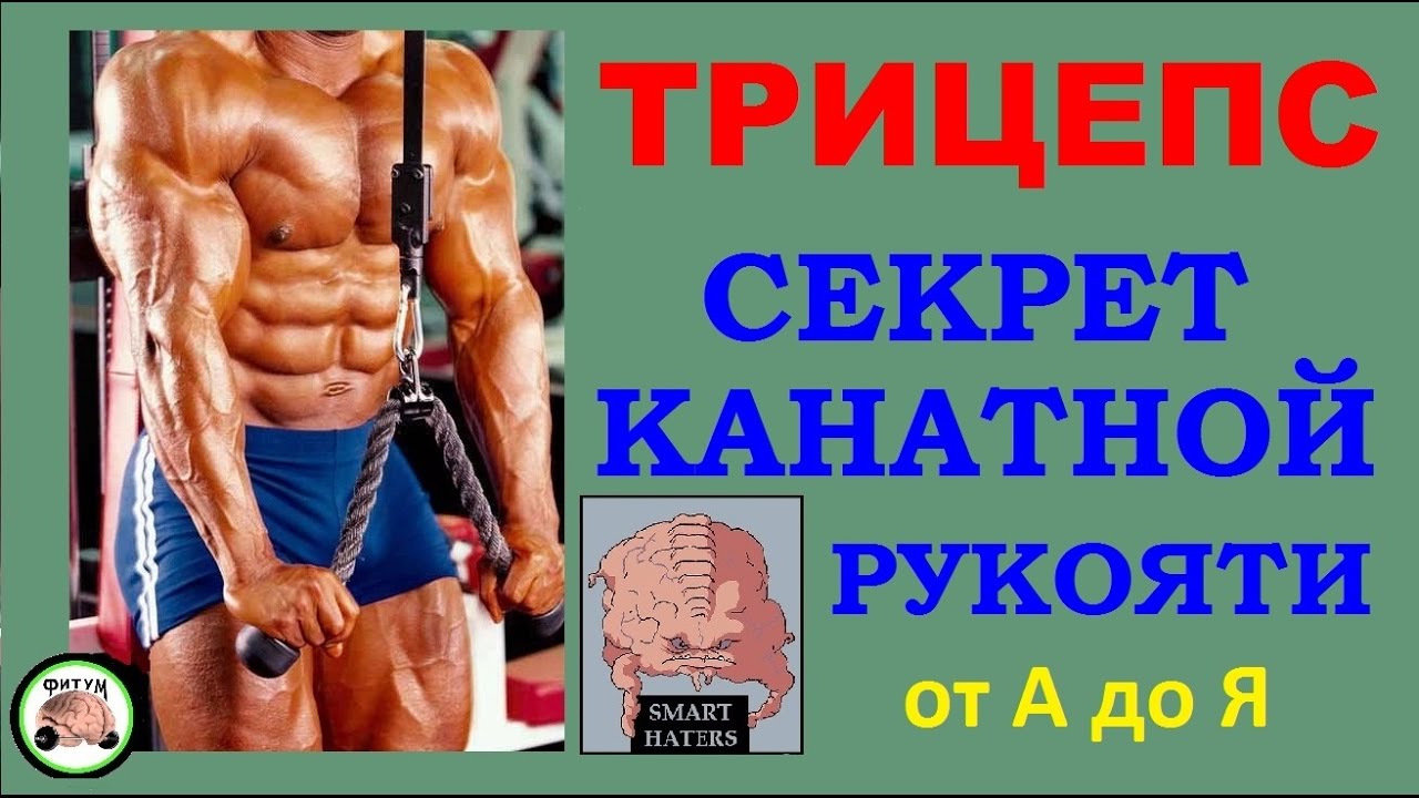 Трицепс -  секрет канатной рукояти