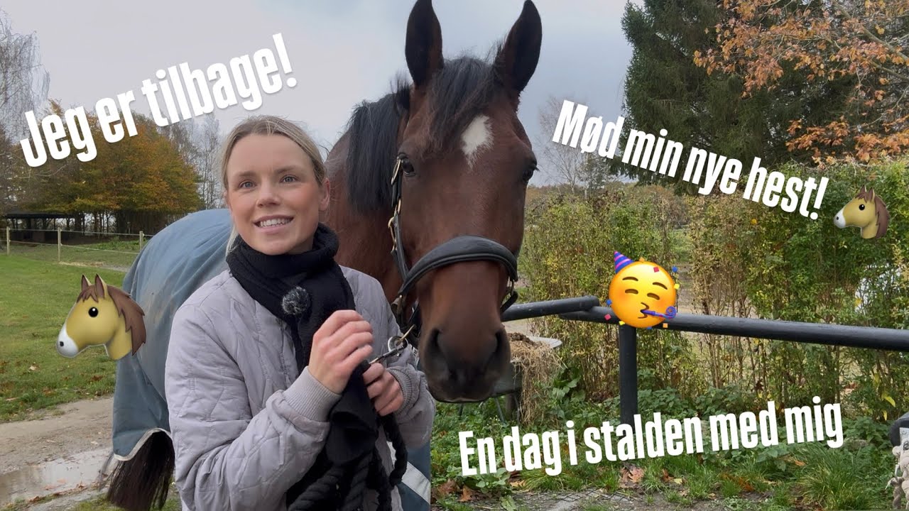JEG ER TILBAGE! En dag i stalden med mig | M&oslash;d min nye hest! 🐎😃