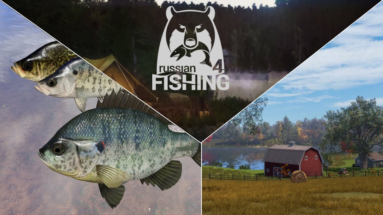 Spot mit Trophypotenzial! Rotohr-Sonnenbarsch & Crapies - Ehrenfischer Elk-Lake | Russian Fishing 4