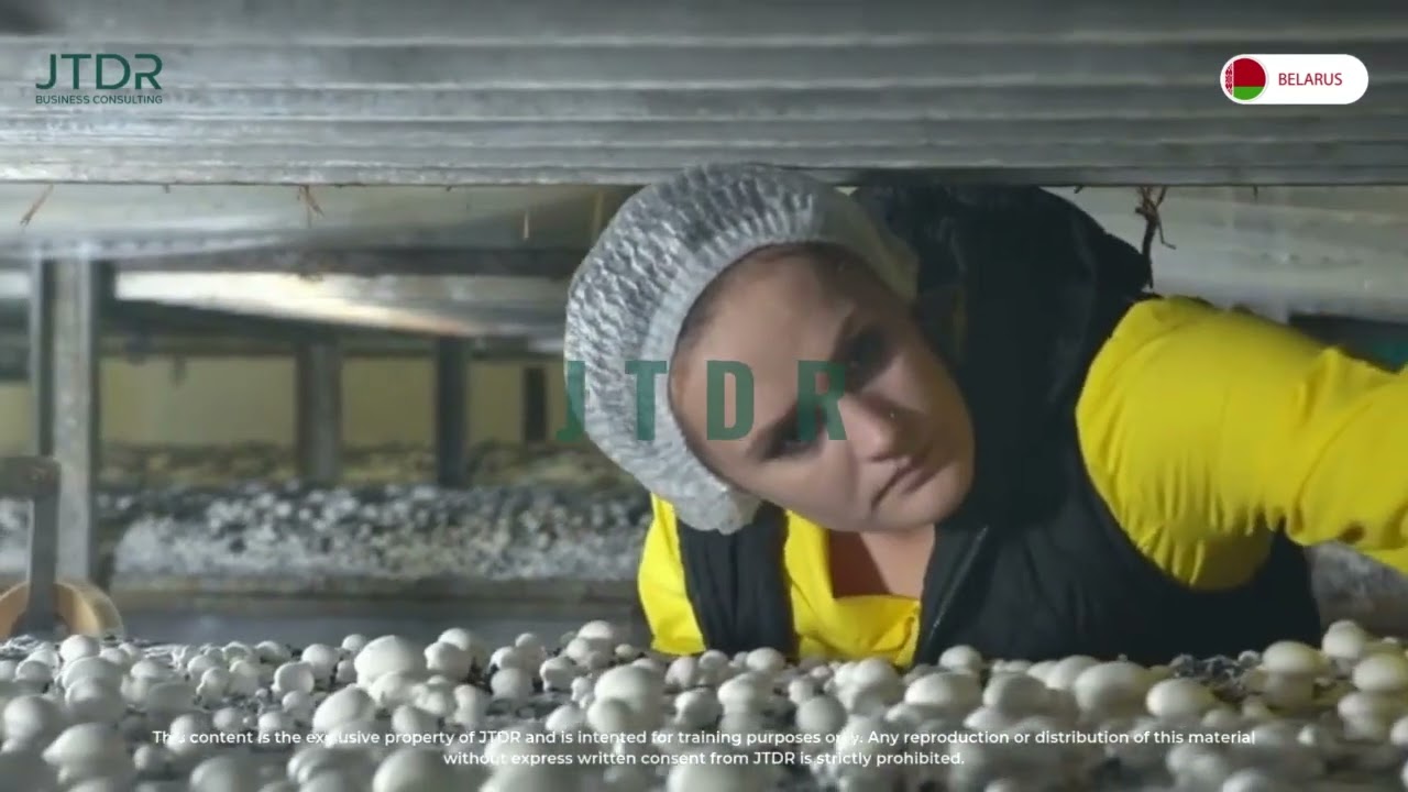 Be a Mushroom Picker in Europe
