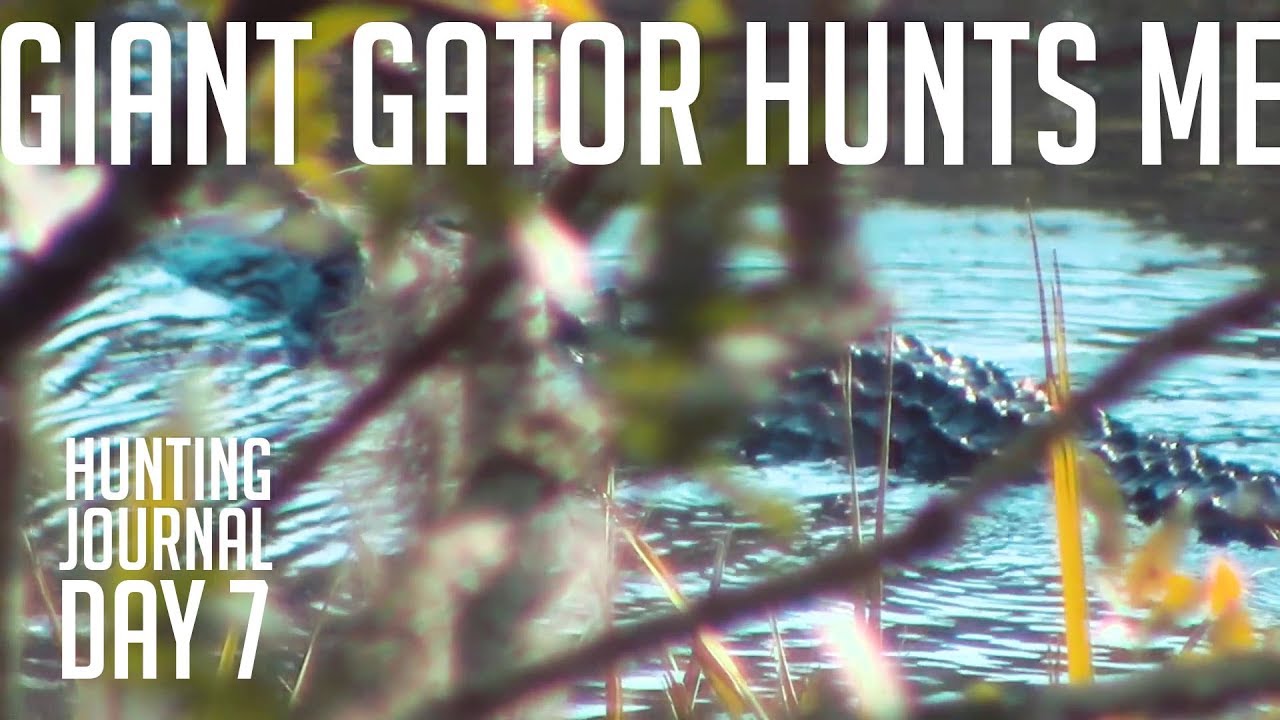 A Dinosaur from a tree saddle? - Hunting Journal Day 7