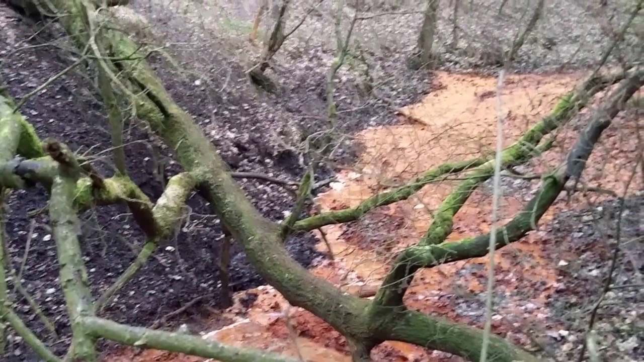 Zufluss zum Tonteich / Dobien