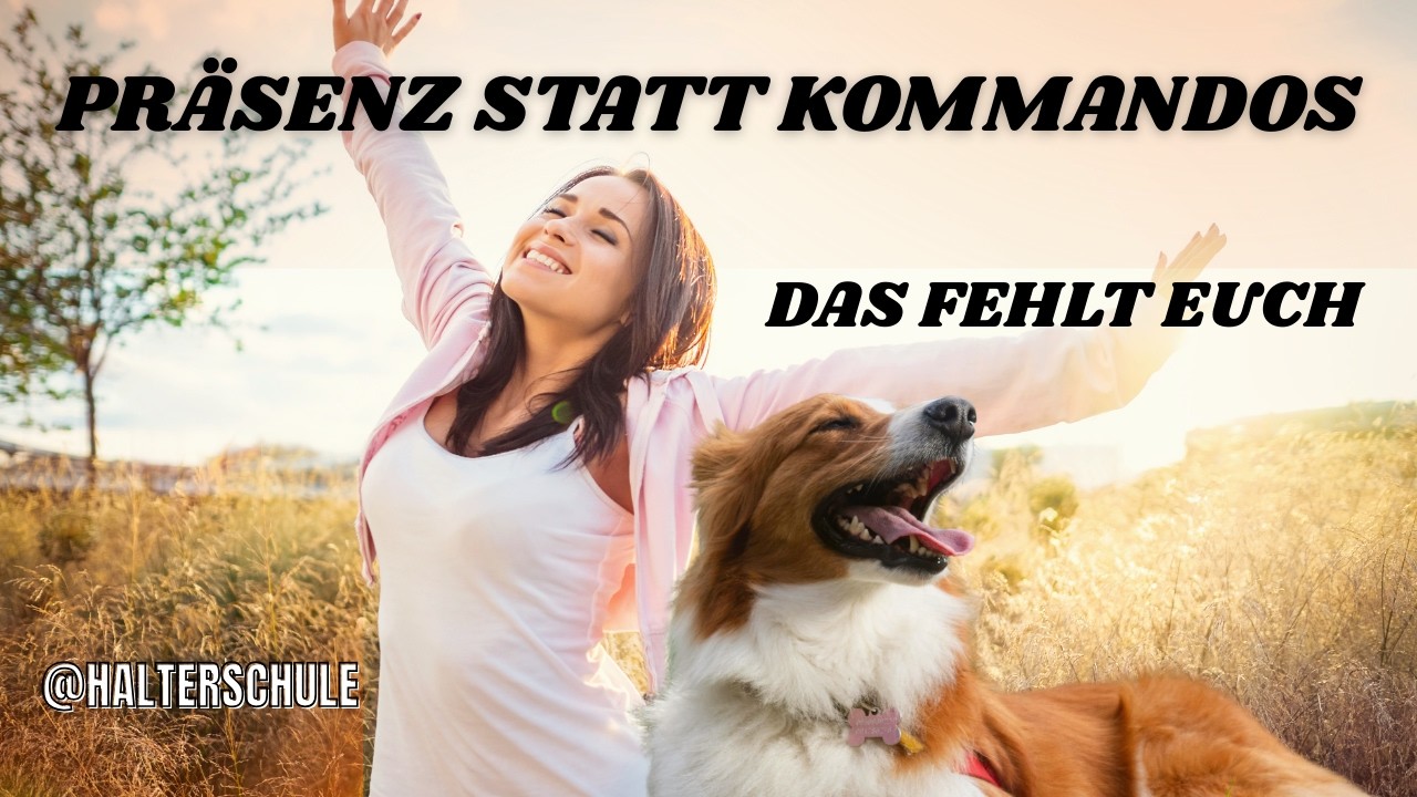10 Minuten nichts tun – und dein Hund versteht dich endlich #hundetraining #hundepsychologie