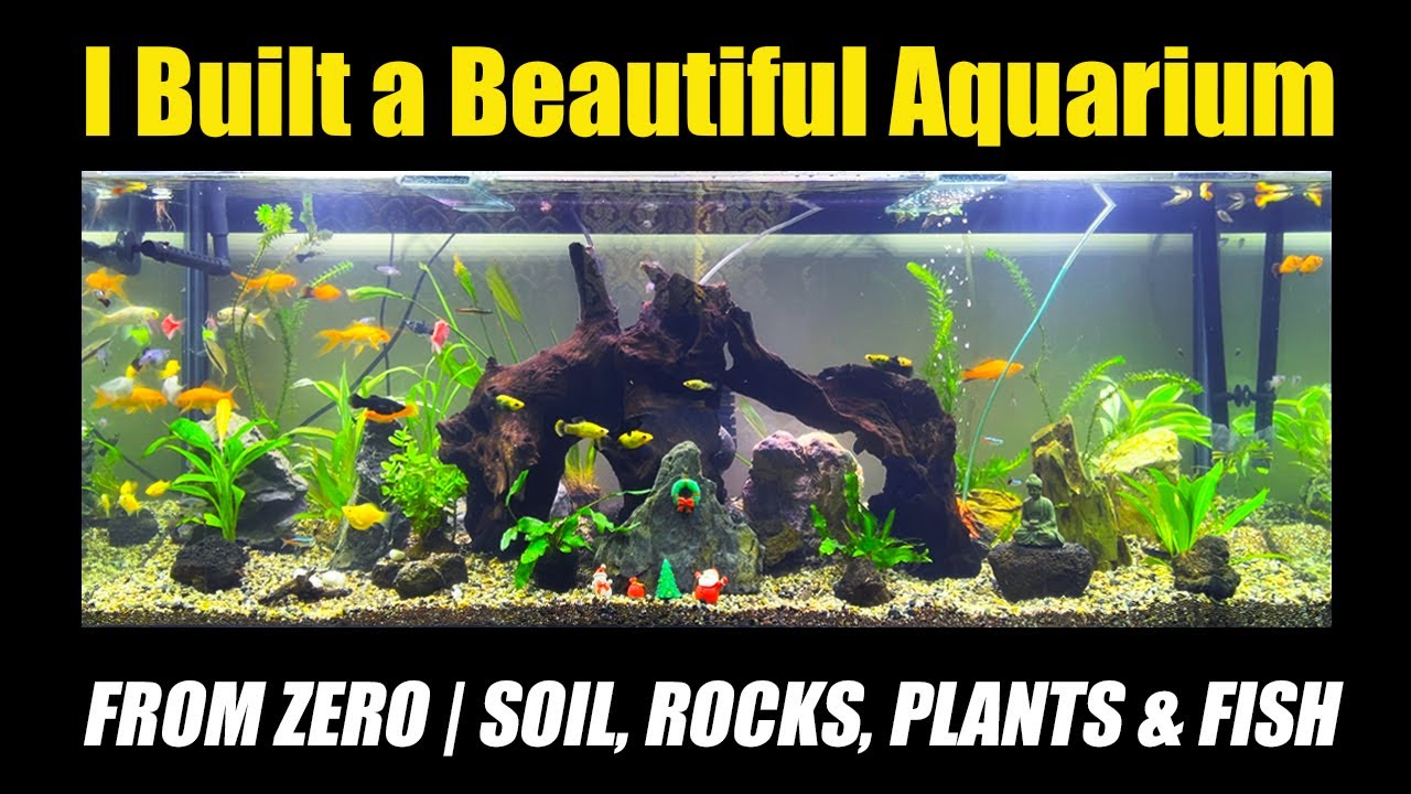 I Built a Beautiful Aquarium from Zero Soil, Rocks, Plants & Fish | Natural Aquarium from Scratch 🌿🐟