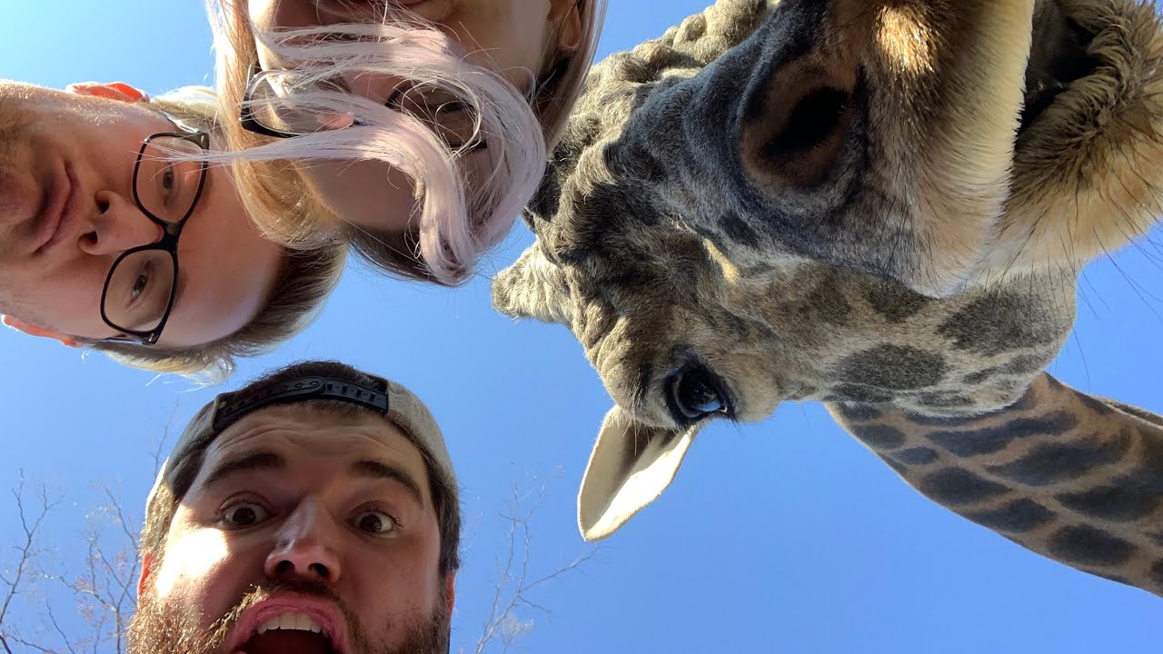 A Behind the Scenes Trip to the Nashville Zoo!