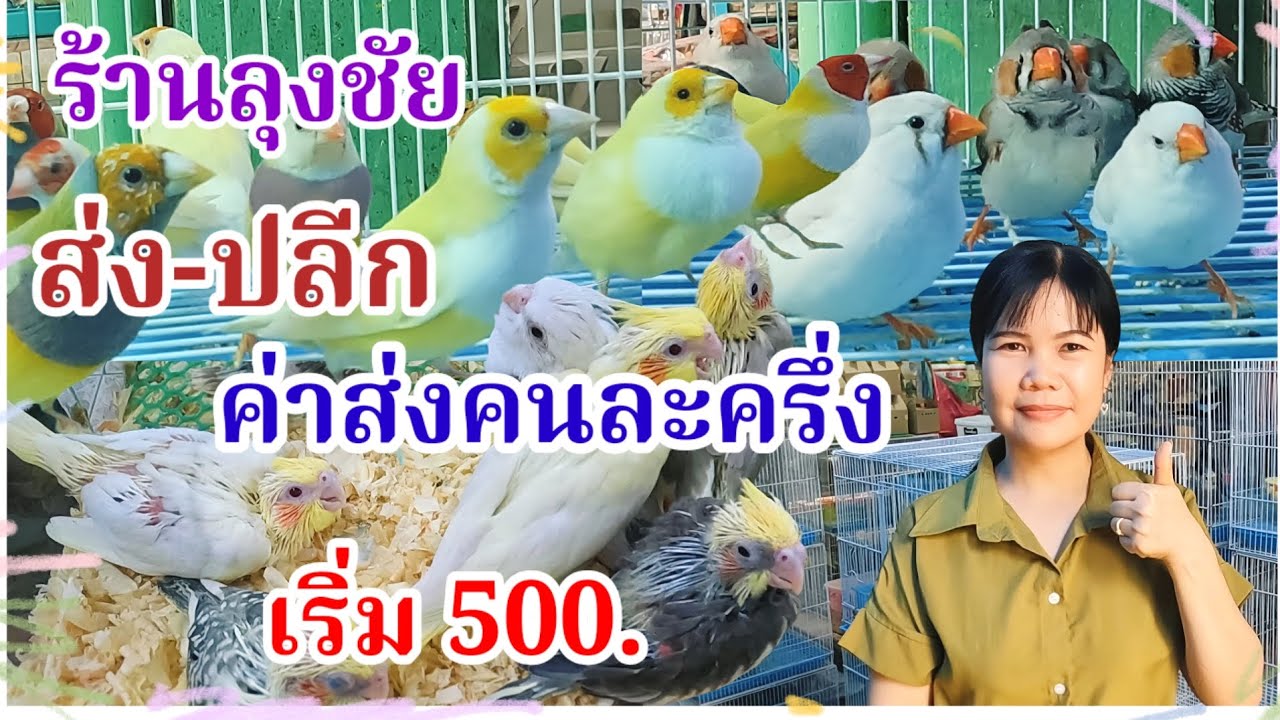 อัปเดตราคานก ร้านลุงชัย ส่ง-ปลีก จัดส่งได้ ค่าขนส่งคนละครึ่ง สนามหลวง2 
