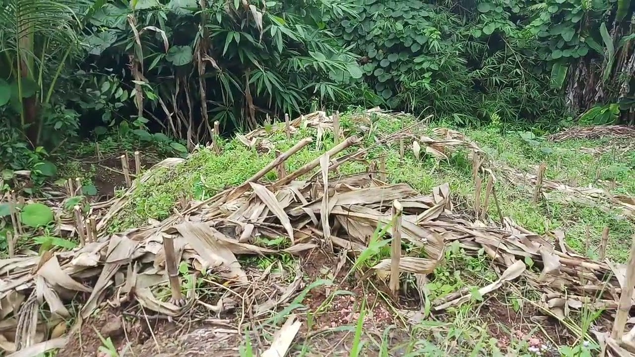 TERNYATA !! Penelusuran ku lebih dekat lagi di tempat ini