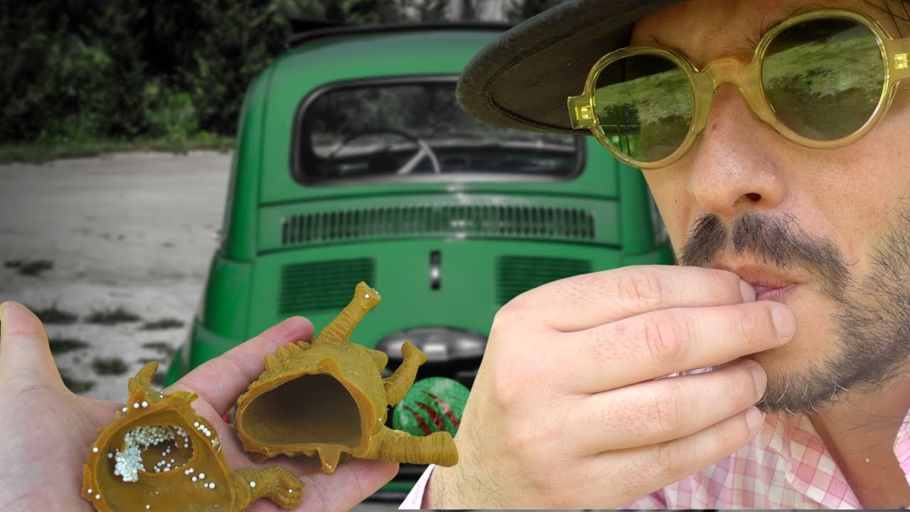 Speciale Cinquecento iscritti. Bevo fanta e mangio un dinosauro.