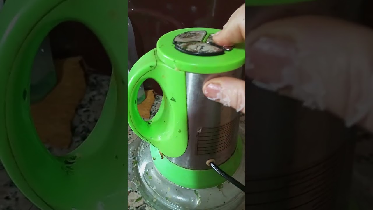 سيݣار بالحوت 