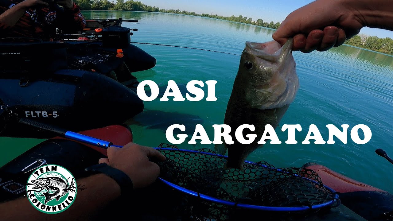 BASS DAL BELLYBOAT ALL' OASI GARGATANO (ep 1)