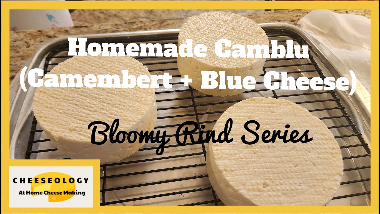 Make Homemade Camblu (Camembert + Blue Cheese)