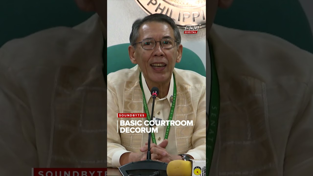 'Basic courtroom decorum': Diokno on Atty. Sheila Sison's questions on day 1 of VP Sara trial | ANC