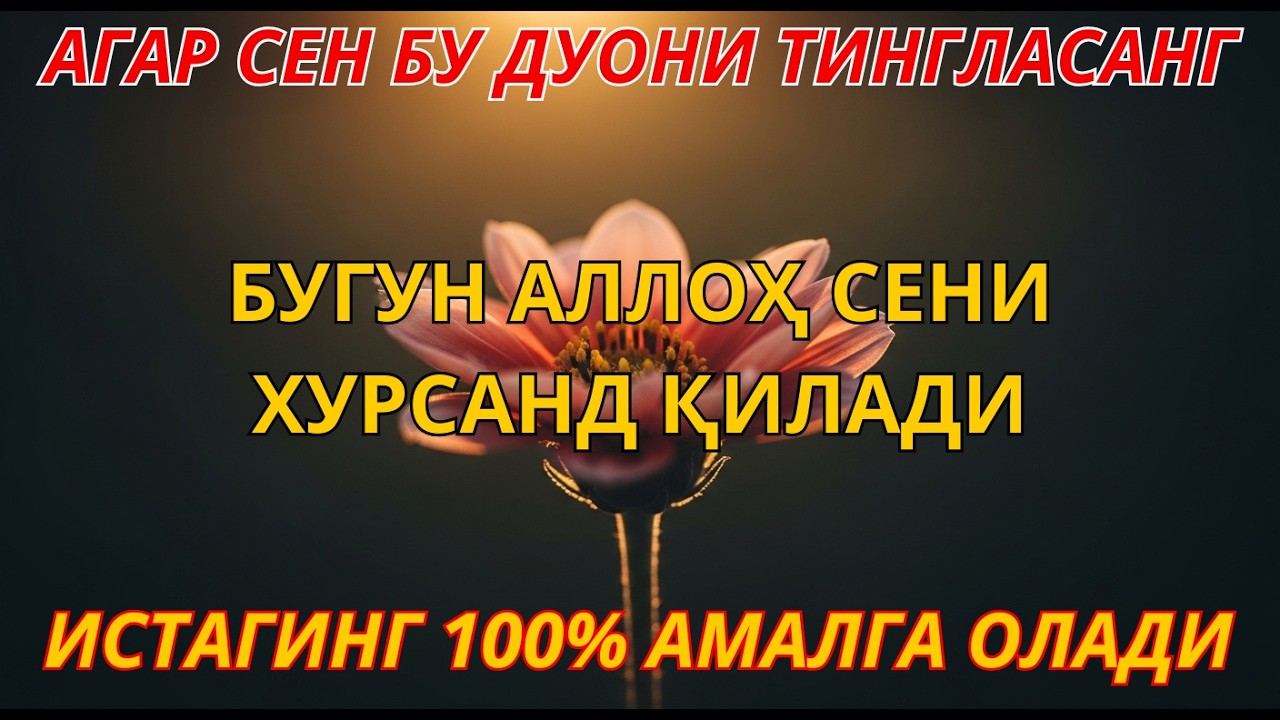 БУ ВИДЕОНИ ЭШИТИНГ Ал-Маъсурат мураттал | Қалбингизга хотиржамлик ва ҳаётингизга барака келади