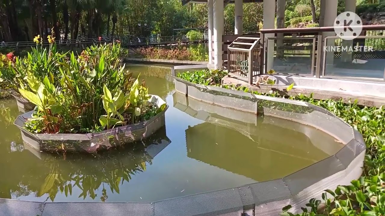 EXPLORING YUEN LONG PARK