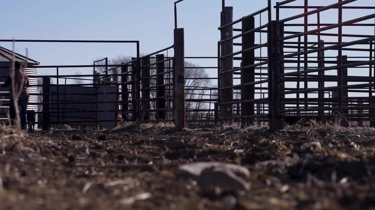 Montana ranchers and bear advocates react to federal grizzly regulations delay
