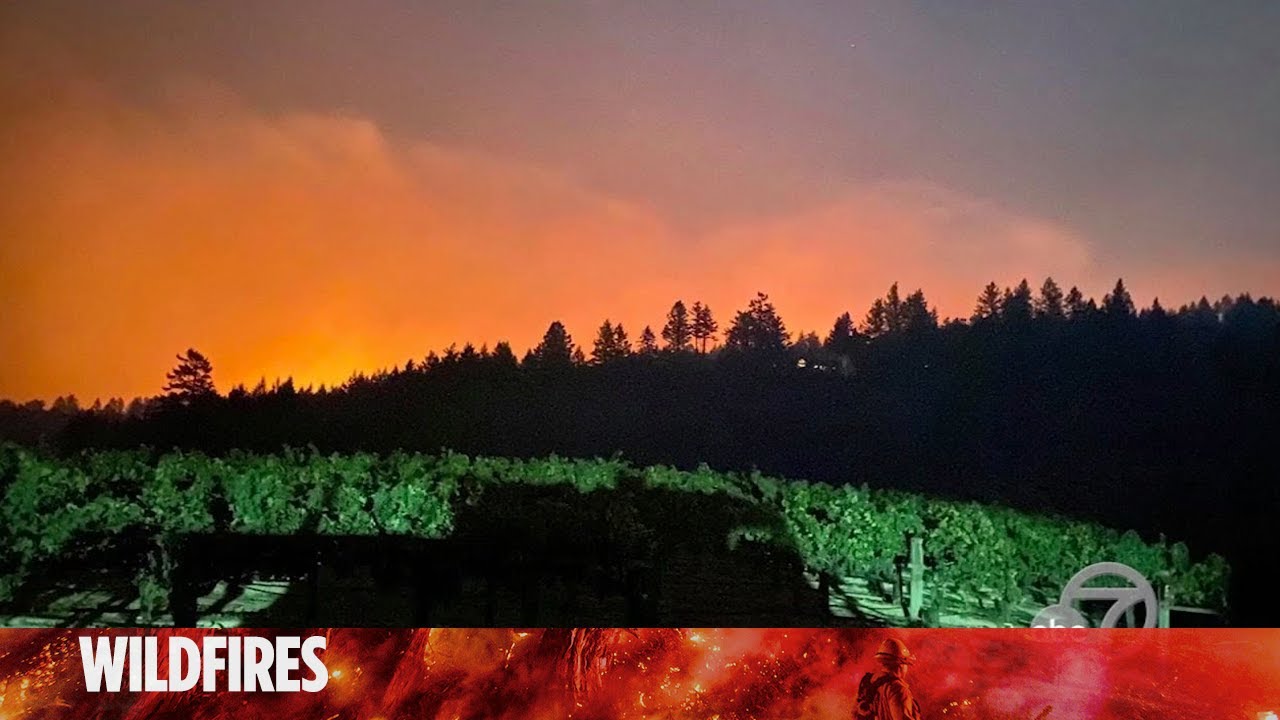 California family fights to save winery from Glass Fire, their first-person account
