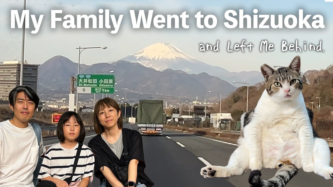 A Japanese Family Visit to Shizuoka — with Our Cat 🐱