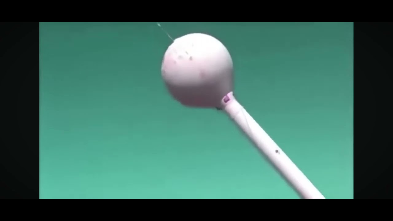 6 de dezembro de 2025