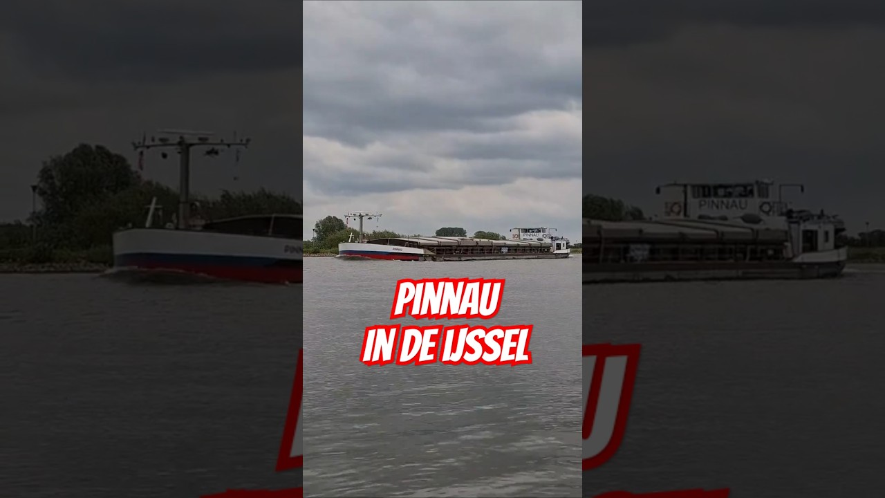 PINNAU #shipspotting  #binnenschiff  #binnenvaart #schifffahrt #shorts