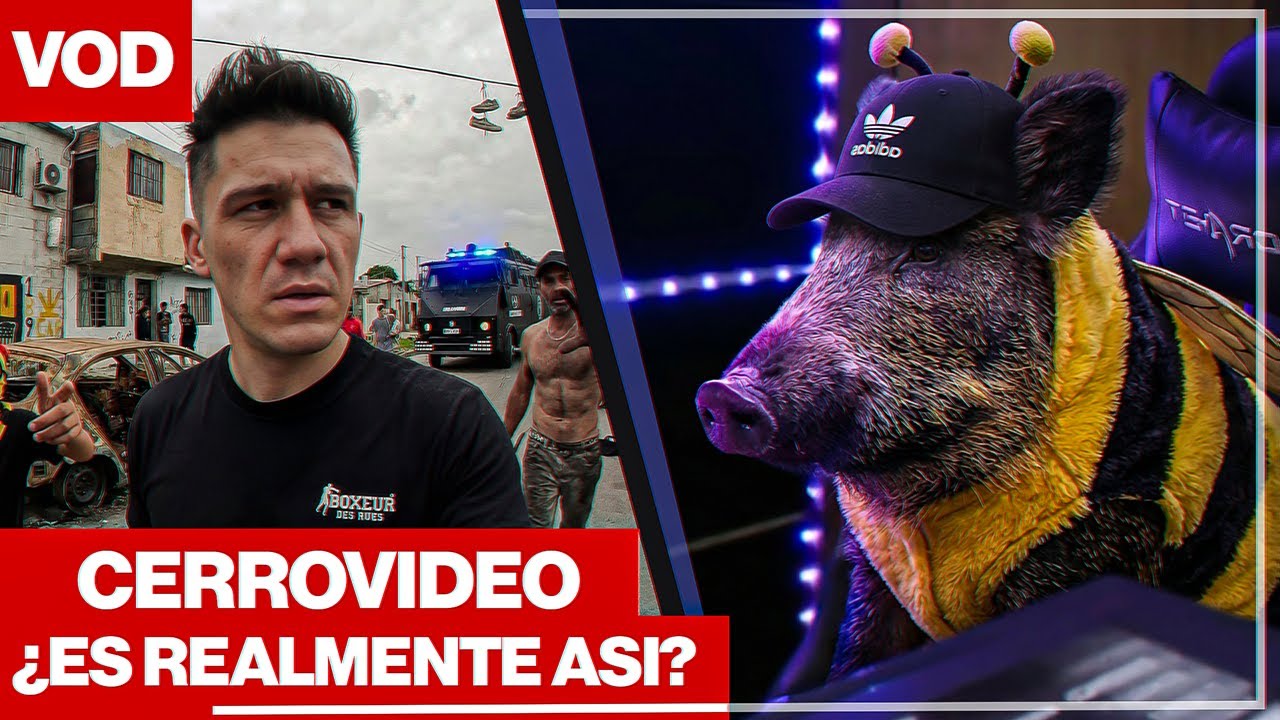 🤔Hablemos de CERRO NORTE y probamos BOOK OF YOG