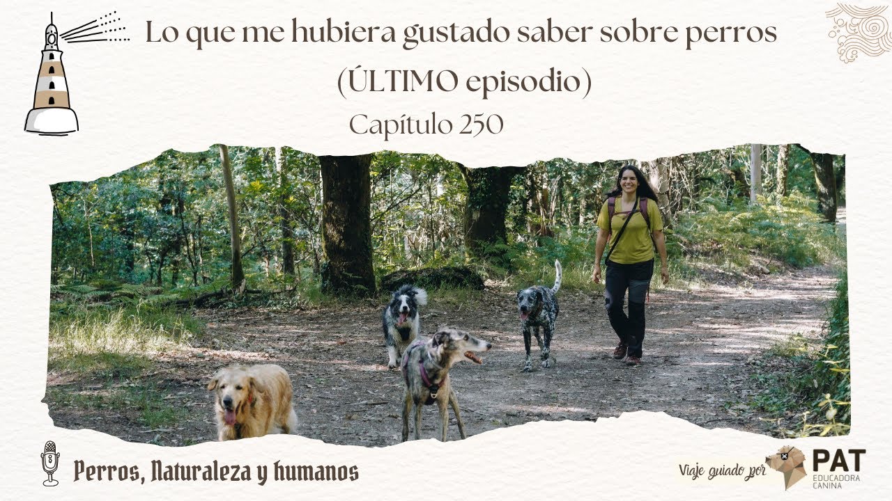 Lo que me hubiera gustado saber sobre perros