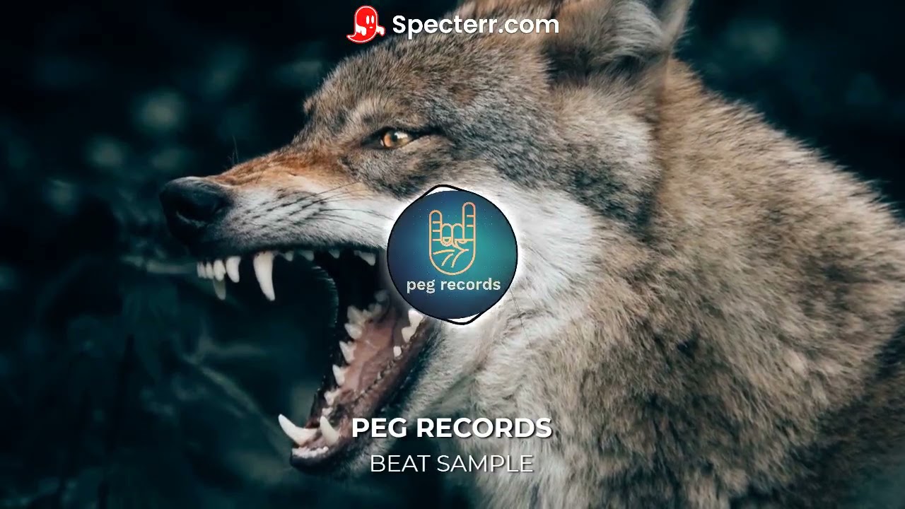 #peg #records #beat #sample