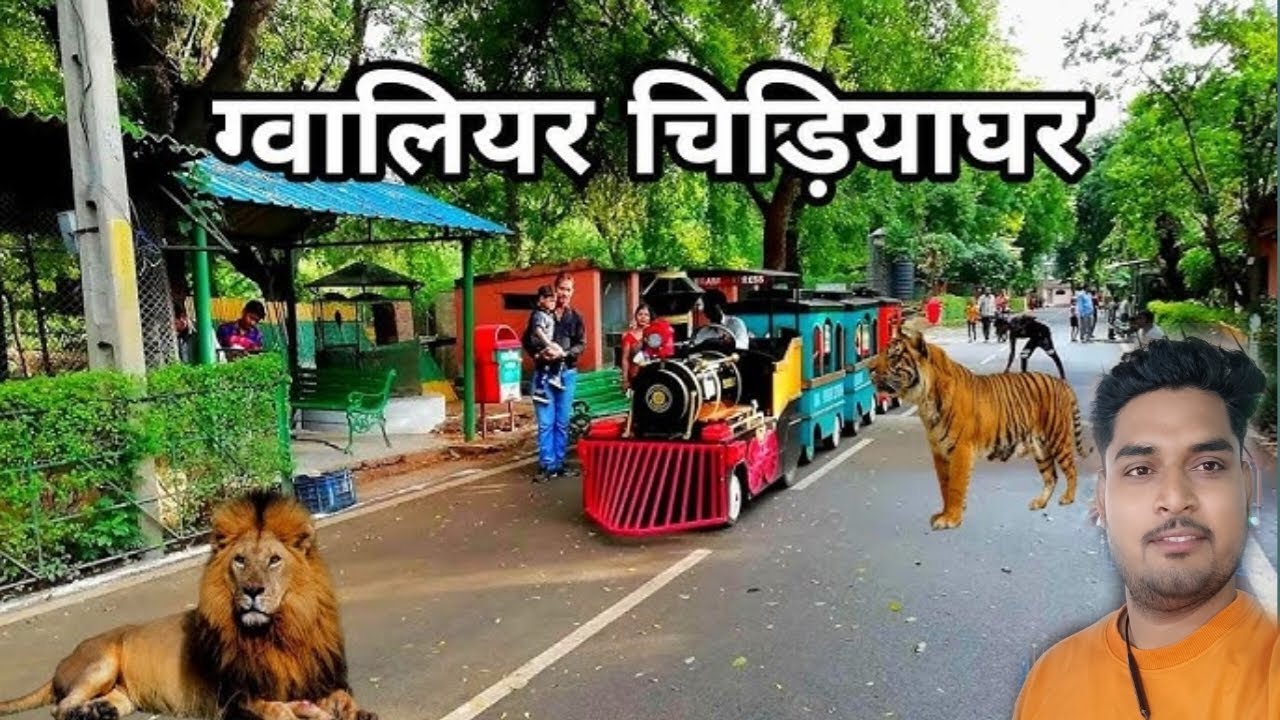 Gwalior Zoo ! ग्वालियर चिड़ियाघर |Gandhi Prani Udyan | mp gwalior ka chidiyaghar Zoo |ग्वालियर India
