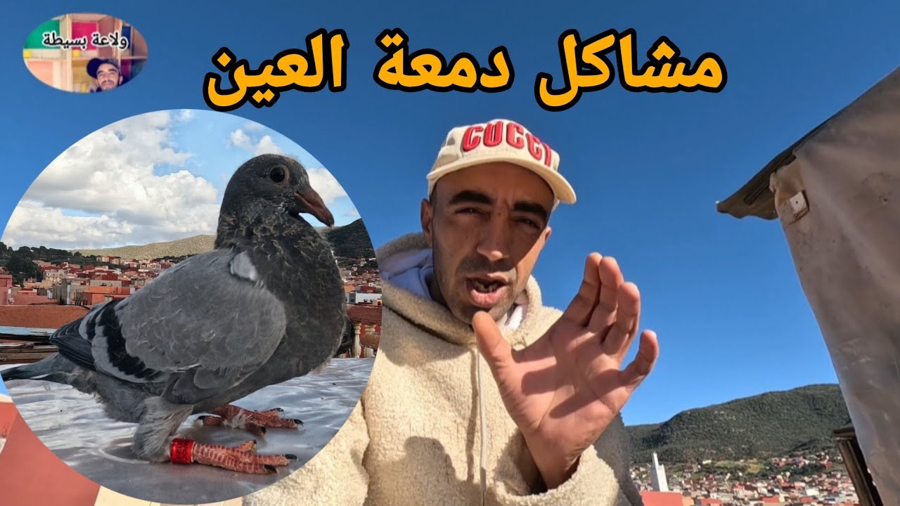 فيديو مفيد وإستعداد لسباق إيمينتانوت 🫡 عصبة جهة بني ملال خنيفرة 🤍🙏♥️
