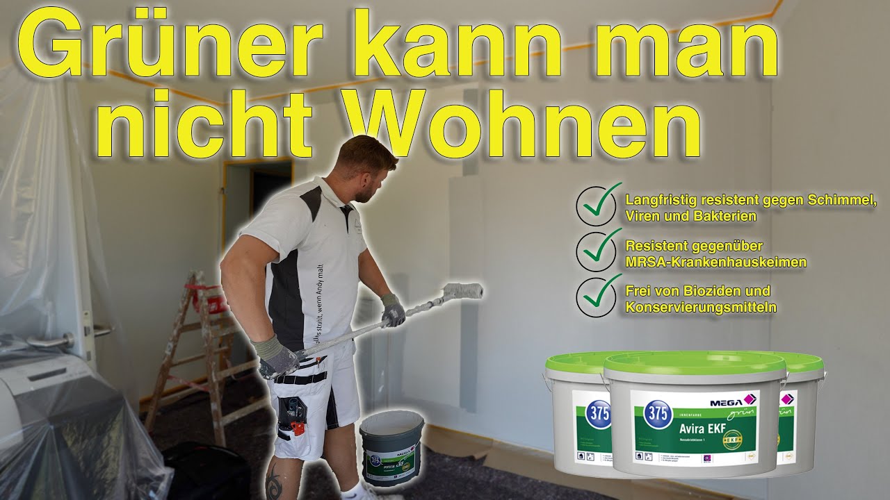 Kein SCHIMMEL mehr im Wohnraum, das ist MEGA