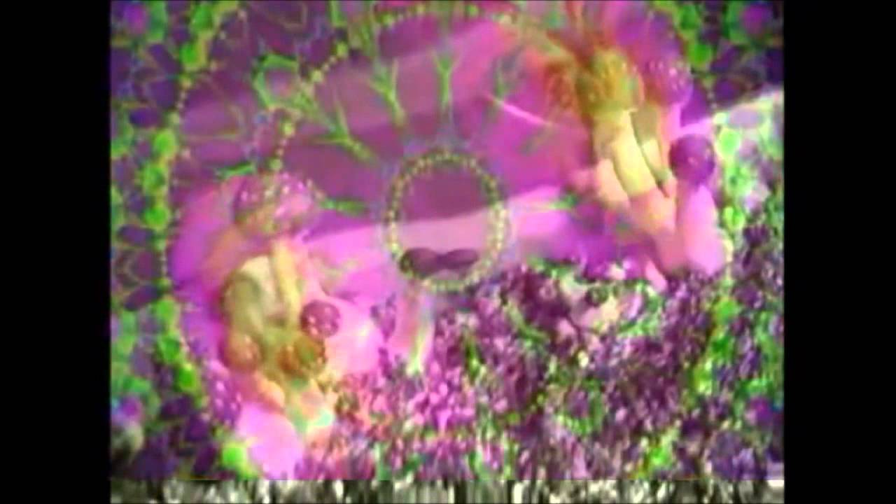 Beginning Meets The End - Bad Liquor Pond